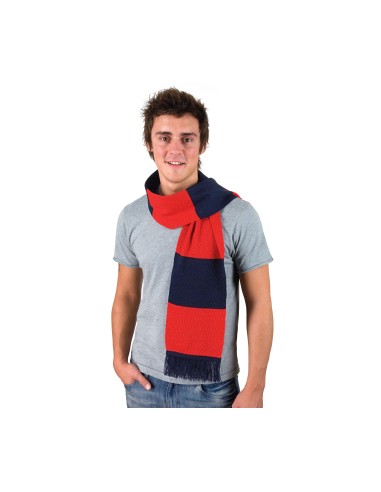 R-R146X-Team Scarf